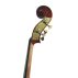 Eastman 80 Bass Scroll