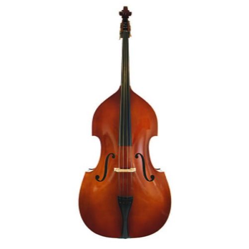 Eastman VB80 double bass front