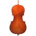 P200 Cello Back