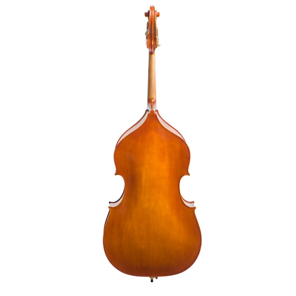 Eastman VB200 Double Bass with Full Set Up Bass Bags