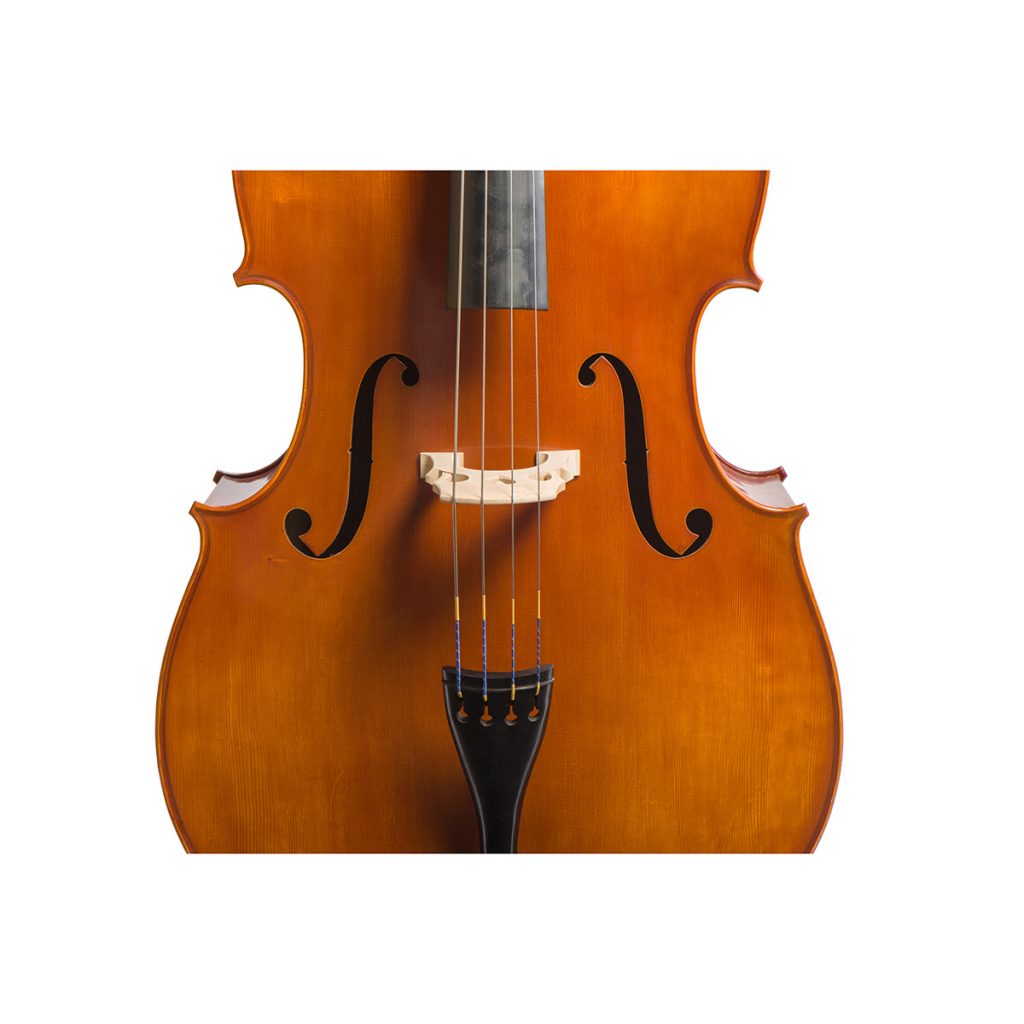 Eastman VB200 Double Bass with Full Set Up Bass Bags