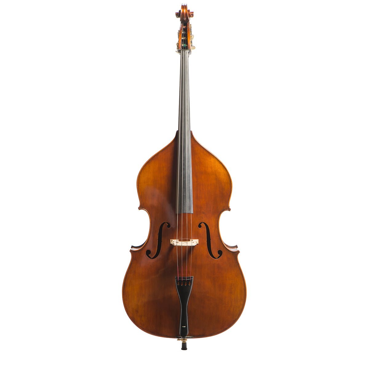 Eastman VB305 Orchestral Double Bass with Flexocor Strings - Bass Bags