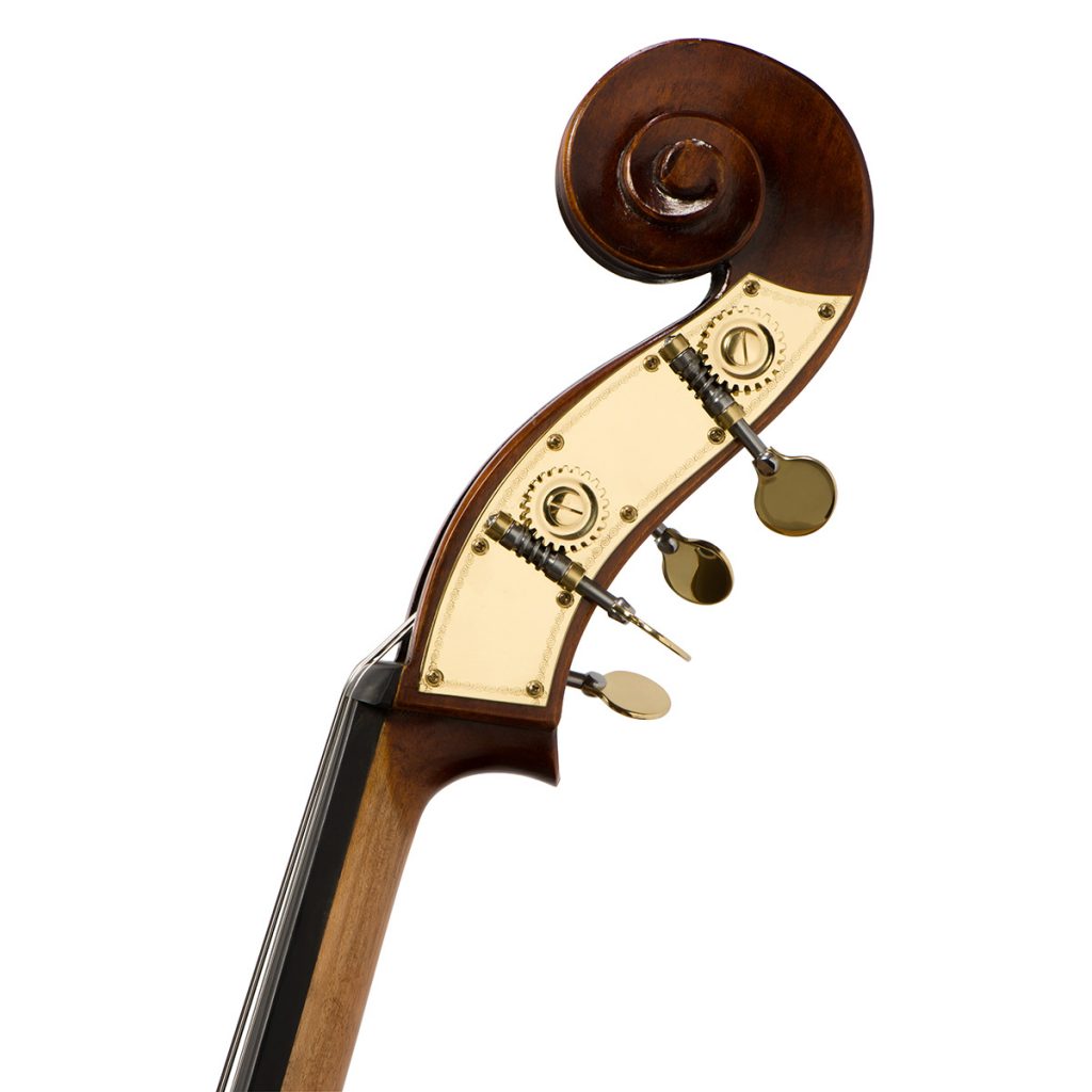 Eastman VB305 Orchestral Double Bass with Flexocor Strings Bass Bags