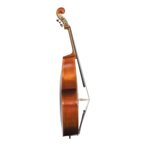 Vivente double bass set up with Helicore strings side view Vivente double bass set up with Helicore strings side view