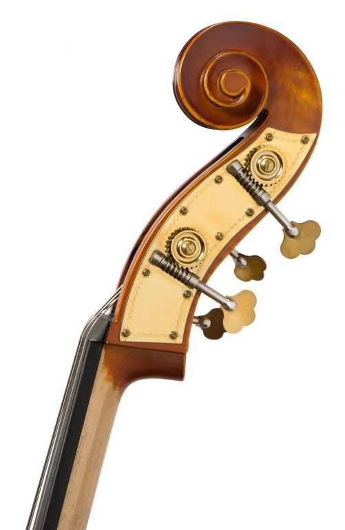 Vivente double bass scroll Vivente double bass scroll