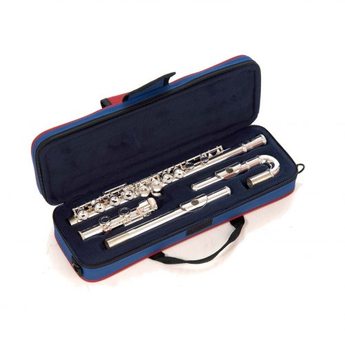 JP011CH-INSTRUMENT-IN-CASE JP011CH-INSTRUMENT-IN-CASE