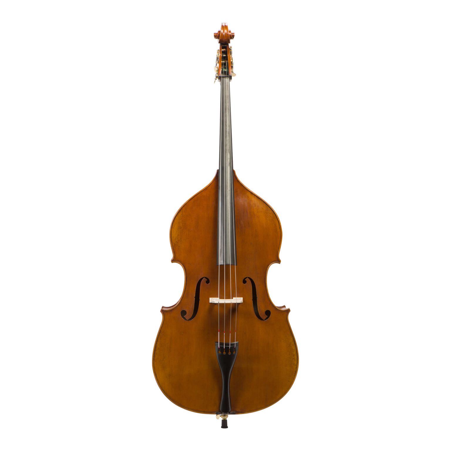 Eastman VB80 Double Bass Setup by Our Luthier Bass Bags