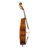 Eastman Master Series Double Bass VB502 Side
