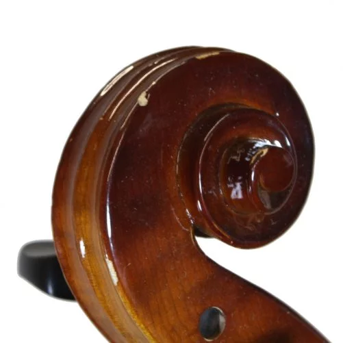 Used 1/2 Size Antoni Cello Scroll