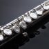 JP111 Flute Macro Shot