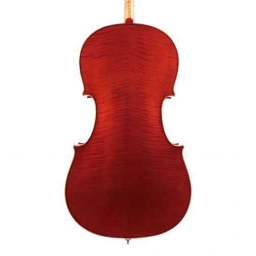 Jay Haide Plain Cello Back View The back view of a Jay Haide Plain Cello