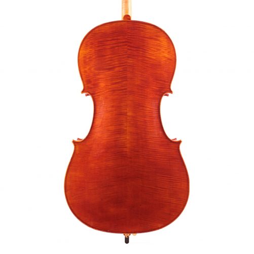Jay Haide Superior Cello back view