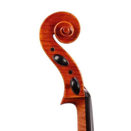 Jay Haide Superior Cello side view of the scroll