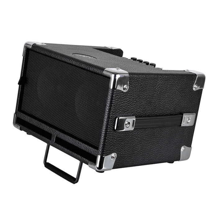 Phil Jones BG 100 Bass Cub - Bass Bags