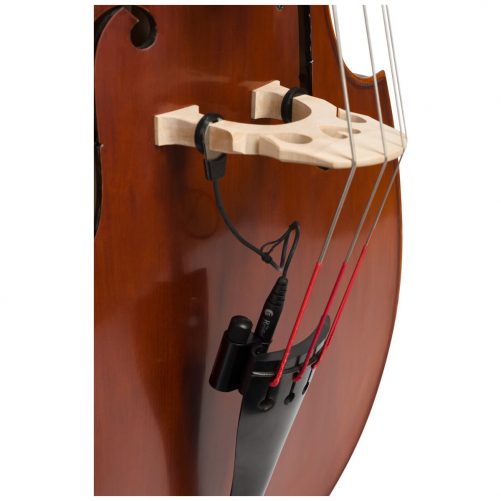 Close up view of Eastman VB105 double bass fitted with an adjustable bridge and Spirocore strings