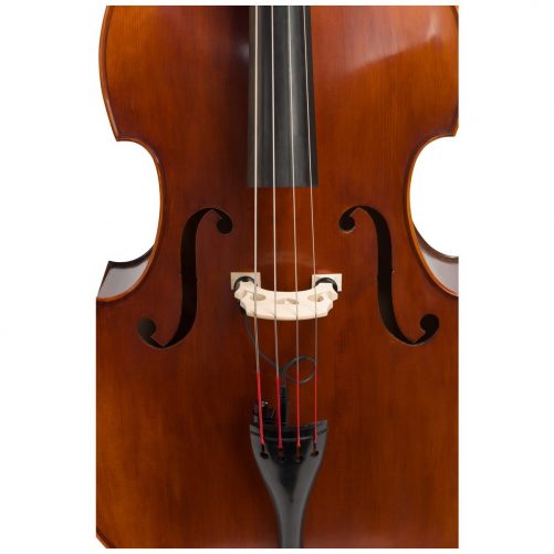 Front view of Eastman VB105 double bass fitted with an adjustable bridge and Spirocore strings