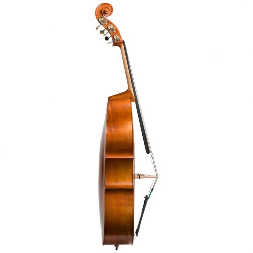 Side view of an Eastman VB200 5 String double bass