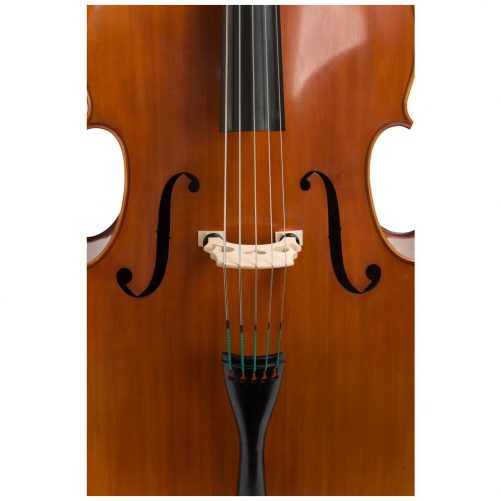 Close up view of an Eastman VB200 5 String double bass