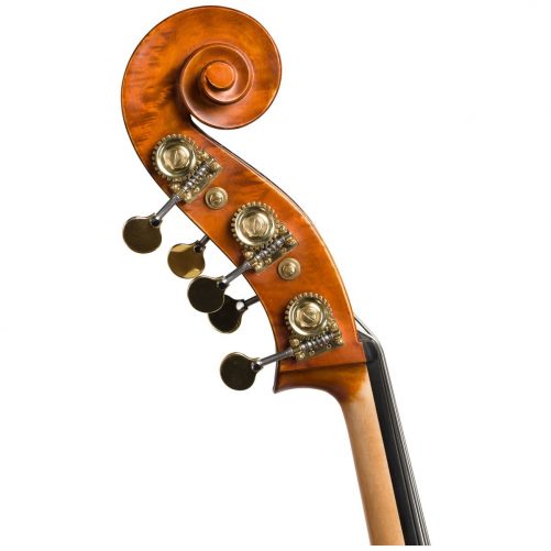 Scroll view of an Eastman VB200 5 String double bass