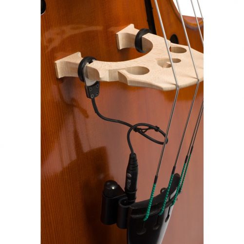 Close up view of Eastman VB200 with Evah Pirazzi Weich strings and Realist Pickup System Close up view of Eastman VB200 with Evah Pirazzi Weich strings and Realist Pickup System