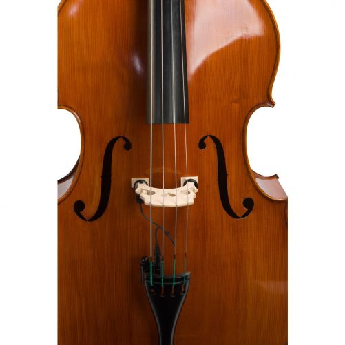 Close up front view of Eastman VB200 with Evah Pirazzi Weich strings and Realist Pickup System Close up front view of Eastman VB200 with Evah Pirazzi Weich strings and Realist Pickup System