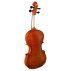 Hidersine Vivente Violin Back