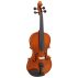 Hidersine Vivente Violin Front