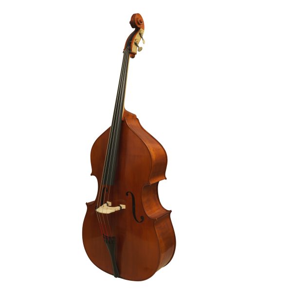 Eastman VB200 5 String Double Bass 7/8 Size Bass Bags