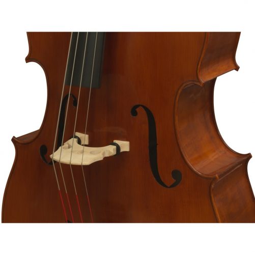 Eastman VB200 Jazz Bass Violin Shape Close