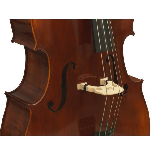 Eastman VB305 Evah Pirazzi Close Eastman VB305 Evah Pirazzi Close