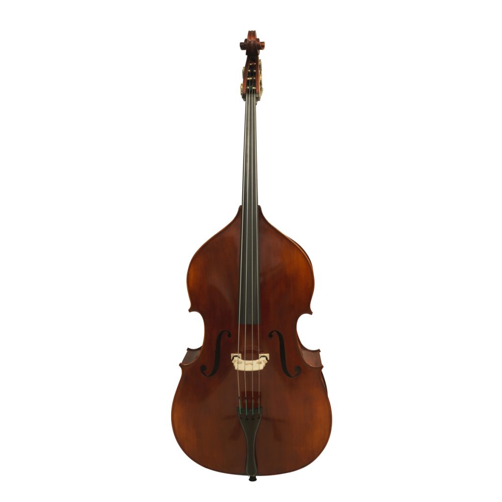 Andreas Eastman VB305 Double Bass Evah Pirazzi Bass Bags