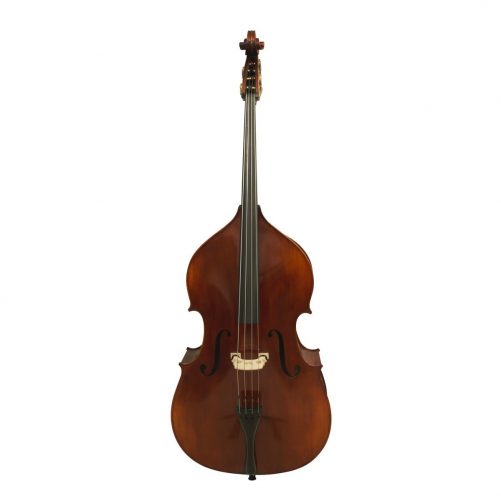 Eastman VB305 Evah Pirazzi Front Eastman VB305 Evah Pirazzi Front