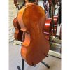 Jay Haide Vuillame Cello Back