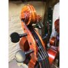 Jay Haide Vuillame Cello Pegs