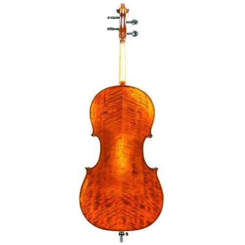 Eastman VC501 Cello Back Eastman VC501 Cello Back