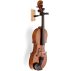 Violin in wall hanger