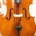 Eastman VB503 Front