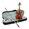 Hidersine Violin Vivente Academy 4/4 Finetune Outfit. W3180A