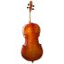 Hidersine Vivente Academy Finetune Cello Back