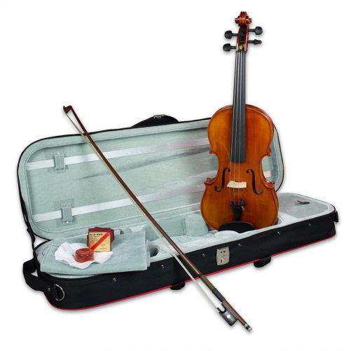 Hidersine Violin Piacenza 4/4 Finetune Outfit W3191