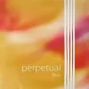 Perpetual Solo Double Bass Strings