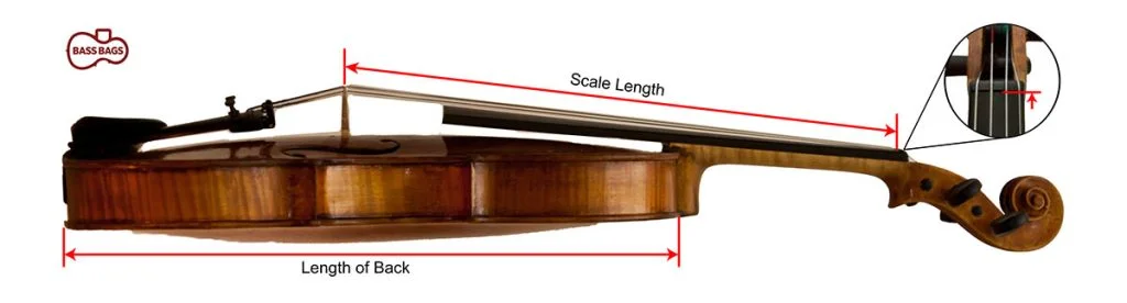 Diagram of how to measure a Violin to determine its size