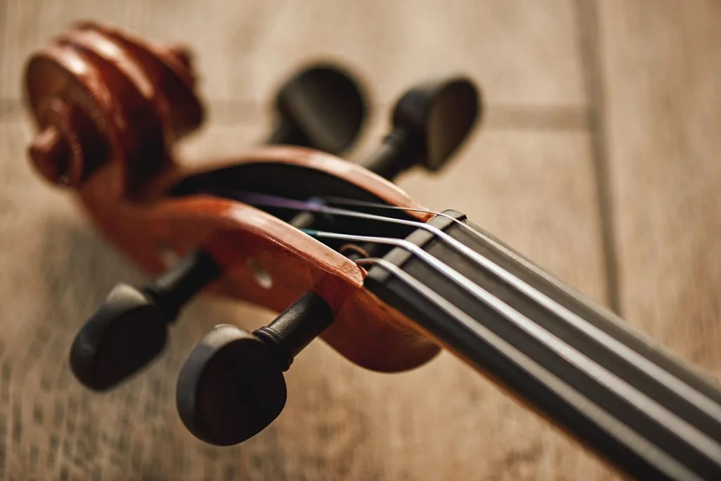 Violin Strings FAQs