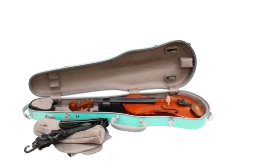 Open Spirit violin case Open Spirit violin case