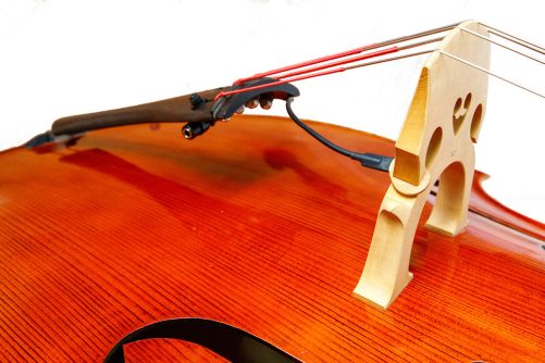 Piezo pick up fitted to bass Piezo pick up fitted to bass