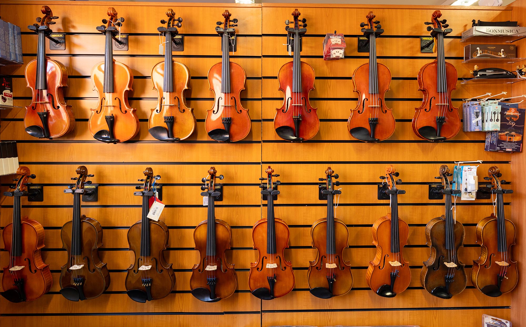 violins