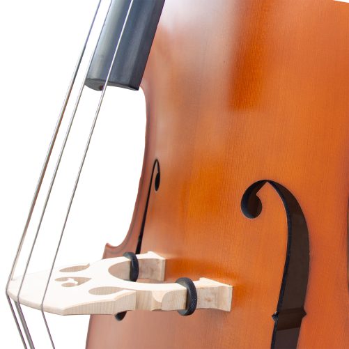 Bass Bags Workshop Maiastru Double Bass - Bridge Detail Close-up of the bridge and f-hole on the Bass Bags Workshop Maiastru double bass.