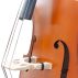 Close-up of the bridge and f-hole on the Bass Bags Workshop Maiastru double bass.