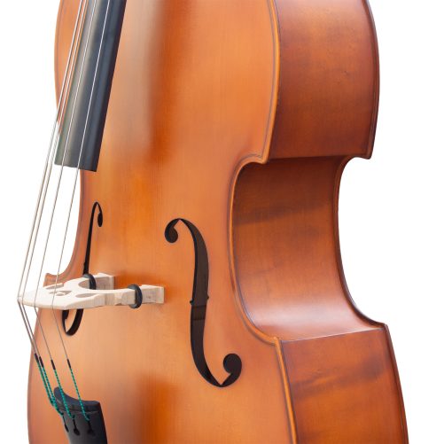 Bass Bags Workshop Maiastru Double Bass - Body Detail Close-up showing the body, rib, purfling and f-hole of the Bass Bags Workshop Maiastru double bass.