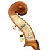 Scroll and brass machine heads on the Bass Bags Workshop Maiastru double bass.